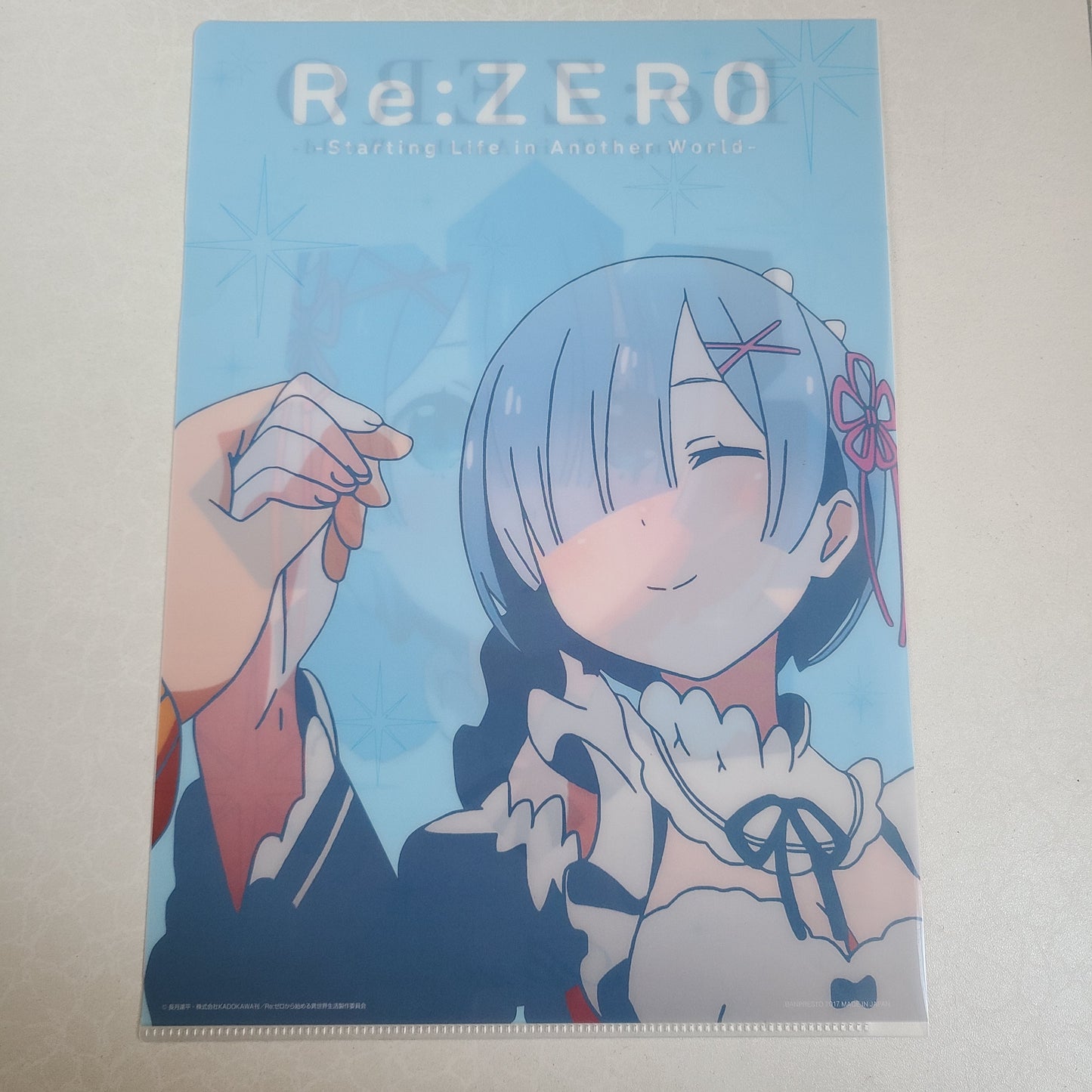 Carpeta single Rem